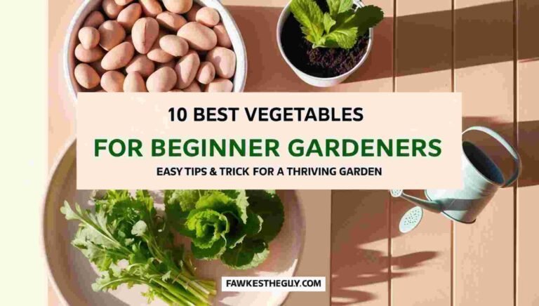 Best Vegetables to Grow for Beginner Gardening